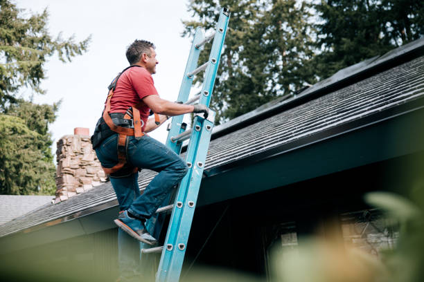 Best Roof Repair  in Holyoke, MA